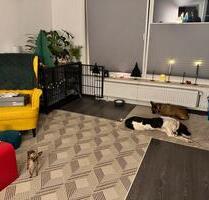 Helle 3-Zimmer-Wohnung mit Terrasse in Stolzenau (80 m²) - Raddestorf