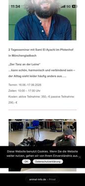 Foto - Terrassenwohnung in Raddestorf zur Miete