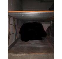 Garagenstellplatz in Hannover List zu vermieten