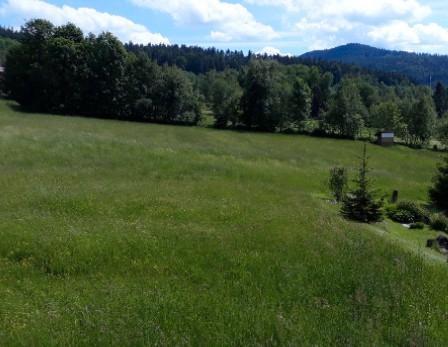 Foto - andere zur Miete in Langdorf