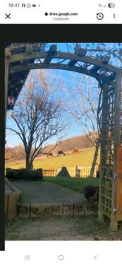 Foto - Mehrfamilienhaus, Wohnhaus zum Kaufen in Radolfzell am Bodensee
