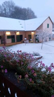Foto - Mehrfamilienhaus, Wohnhaus in Radolfzell am Bodensee zum Kaufen