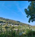 Foto - 10 Zimmer Mehrfamilienhaus, Wohnhaus zum Kaufen in Zell (Mosel)