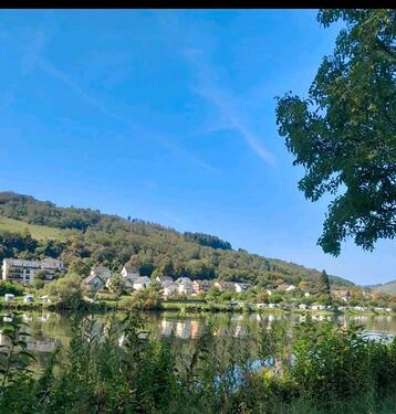 Foto - 10 Zimmer Mehrfamilienhaus, Wohnhaus zum Kaufen in Zell (Mosel)