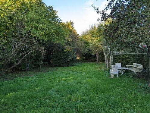 Foto - Grundst&uuml;ck zur Miete in Riedlingen