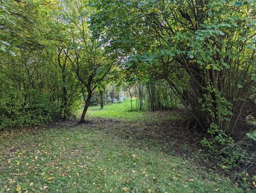 Foto - Grundst&uuml;ck in Riedlingen