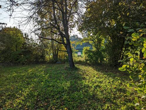 Foto - Grundst&uuml;ck in Riedlingen zur Miete