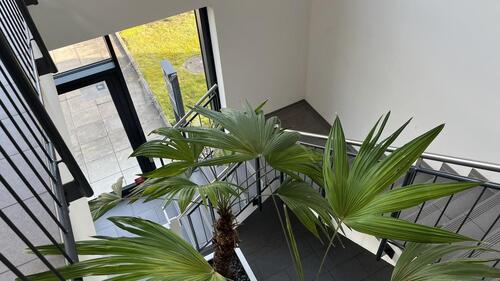 Foto - andere in Asperg