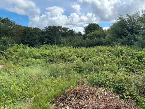 Foto - Einfamilienhaus zum Kaufen in Busdorf