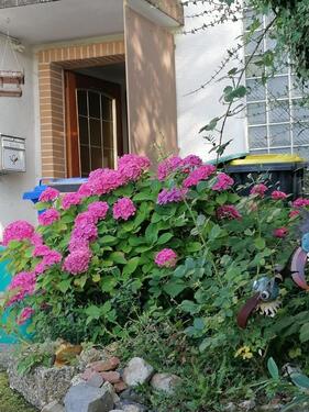 Foto - Preiswertes 6-Raum-Einfamilienhaus in Fritzlar Ungedanken