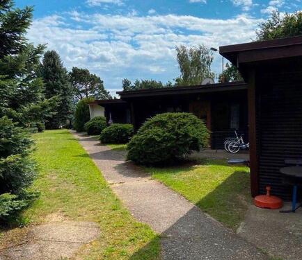 Foto - Urlaub im Grünen am Körbaer See