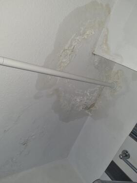 Foto - andere zur Miete in Laatzen