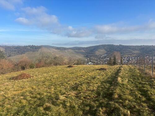 Foto - Grundst&uuml;ck in Stuttgart