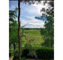 Schrebergarten zu verpachten 977qm Hanglage wunderschöne Aussicht - Weiden in der Oberpfalz