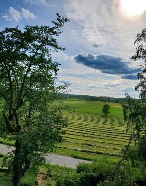 Foto - Grundstück zur Miete in Weiden in der Oberpfalz