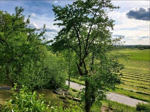 Foto - Grundstück in Weiden in der Oberpfalz