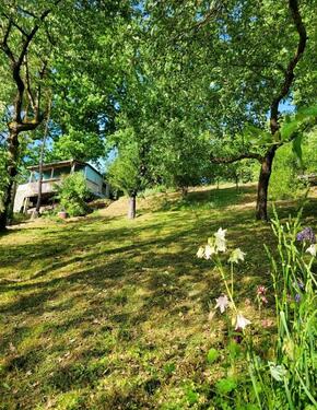 Foto - Grundstück in Weiden in der Oberpfalz zur Miete