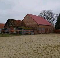 Resthof mit Neuem Pferdestall - 479.000,00&nbsp;EUR Kaufpreis, ca.&nbsp; 250,00&nbsp;m&sup2; in Wagenfeld (PLZ: 49419)