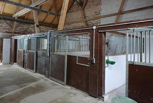 Foto - Bauernhaus, Landhaus in Wagenfeld zum Kaufen