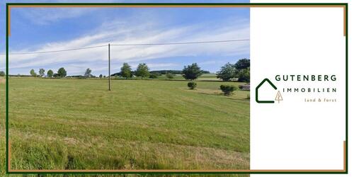 Foto - Traumhaftes Baugrundstück mit Panoramablick in unberührter Natur