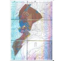 1 Holzanteil ca. 45.000 qm Forstgenossenschaft Klein FredenLeine - Alfeld (Leine)