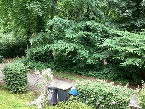 Foto - Willkommen Zuhause: Geräumige 2,5 Zimmerwohnung in attraktiver Lage