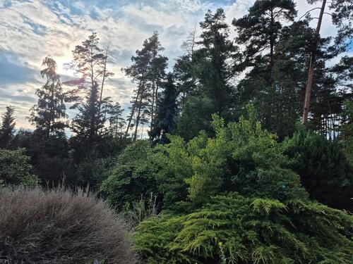 Foto - Haus in Gorleben am Wald - 980,00&nbsp;EUR Kaltmiete, ca.&nbsp; 72,00&nbsp;m&sup2;