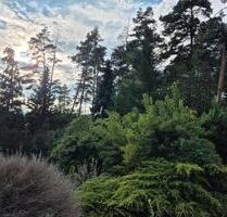 Haus in Gorleben am Wald - 980,00&nbsp;EUR Kaltmiete, ca.&nbsp; 72,00&nbsp;m&sup2; in Tremsbüttel (PLZ: 22967)