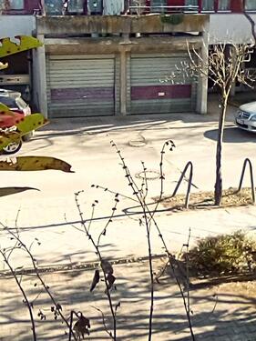 Foto - Einzelgaragenstellplatz - 99,00&nbsp;EUR Miete,