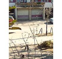 Einzelgaragenstellplatz - 99,00&nbsp;EUR Miete, in Berlin (PLZ: 14169) Steglitz-Zehlendorf