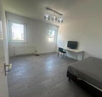 ❌ WG-Zimmer Berlin Anmeldung Garten Whirlpool ❌