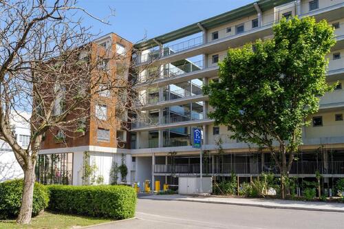 Foto - andere in Singen (Hohentwiel)