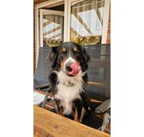 Mitwohngelegenheit in Ostfriesland - Aurich Georgsfeld und Tannenhausen