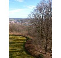 Wohnen mit Urlaubsfeeling und wunderschönem Ausblick auf den Main - Wertheim