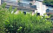 Foto - Schöne 3 Zimmer Wohnung in Ober Erlenbach