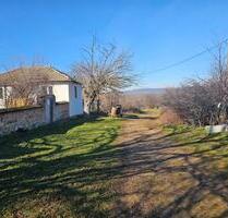 Bulgarian Grundstück – 900 m² – 20 km Veliko Tarnovo – 4.700 € - Schwendi