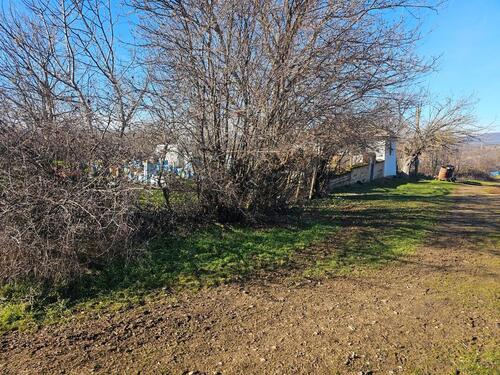 Foto - andere in Schwendi