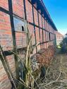 Foto - andere in Braunschweig