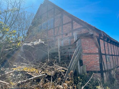 Foto - andere in Braunschweig zur Miete