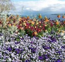 Ferienwohnung, 2 sep. SZ, nähe Bodensee, Urlaub auf dem Bauernhof - Herdwangen-Schönach