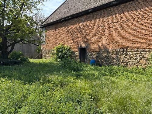 Foto - Einfamilienhaus in Bechtolsheim zum Kaufen