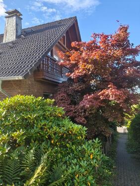 Foto - Einfamilienhaus in Wiehl