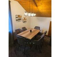 Erstklassige möblierte Wohnung in ruhiger Lage zu vermieten - Ludwigshafen am Rhein Rheingönheim