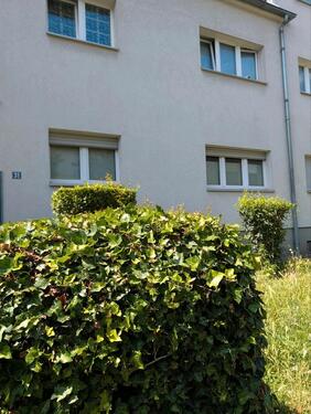 Foto - 2.5 Zimmer Hochparterre zum Kaufen in Köln