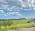 Foto - 4- Zimmer- Wohnung mit Ausblick