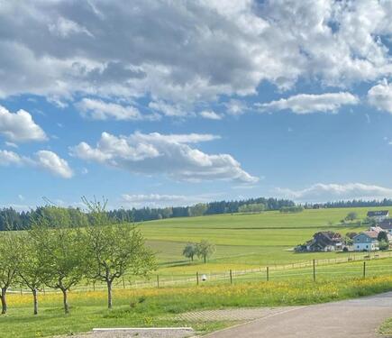 Foto - 4- Zimmer- Wohnung mit Ausblick