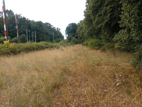 Foto - Grundstück zur Miete in Estorf