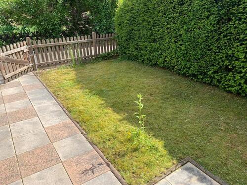 Foto - 6 Zimmer Reihenhaus zum Kaufen in Bad Homburg vor der Höhe