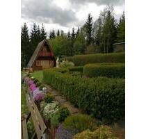 Kleingeartenverein - 2.500,00&nbsp;EUR Kaltmiete, ca.&nbsp; 0,00&nbsp;m&sup2; in Marienberg (PLZ: 09496)