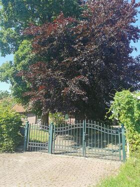 Foto - 4 Zimmer Einfamilienhaus in Westerholt